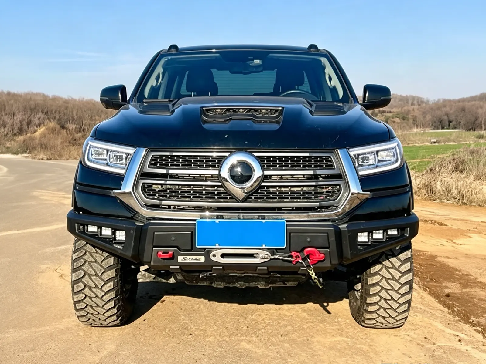 GWM Cannon / Poer / P-Series Passenger Hoopless Bullbar product image 1